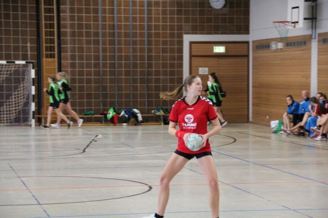 2017_01_08 Landesliga Frauen u. J19